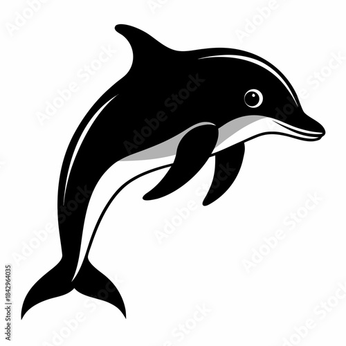 Dusky Dolphin Silhouette Vector on White Background – Simple Marine Animal Design