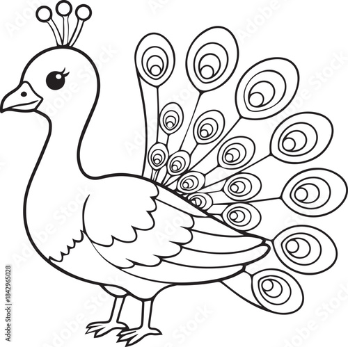 Peacock illustrated in a soft elegant minimal style with gentle feather character line art one line art