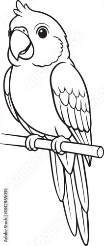 Parrot drawn with gentle smooth minimal bird character details in clean line art one line art