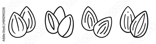 Set of four minimalist almond icons representing healthy food and snacking concepts Vector