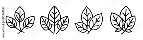 Set of four simple line art icons depicting a cluster of three leaves for natural themes Vector