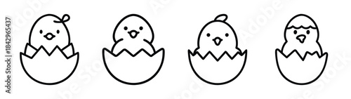 Minimalist black line art illustration featuring four adorable baby chicks hatching from eggs Vector