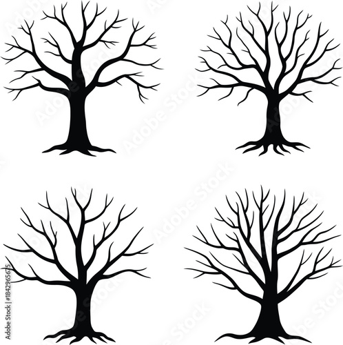 Four bare trees with exposed roots on white background