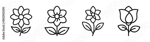 Simple line art illustrations of four different flowers and flower buds Vector