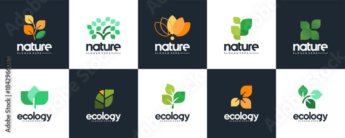 A collection of nature icons featuring leaves and trees, symbols of growth and environmental conservation, vector graphic design.
