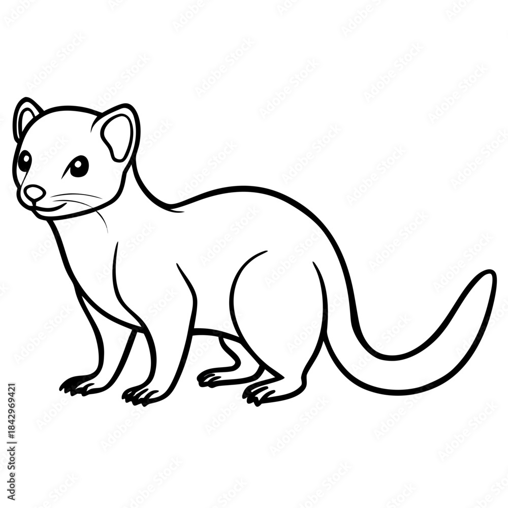 Fototapeta premium Dwarf Mongoose Line Art Vector Illustration on White Background