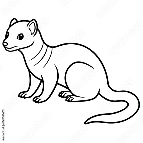 Dwarf Mongoose Line Art Vector Illustration on White Background