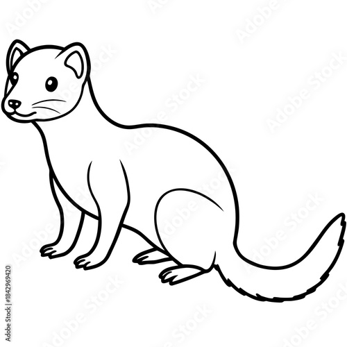 Dwarf Mongoose Line Art Vector Illustration on White Background
