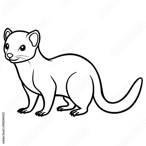 Dwarf Mongoose Line Art Vector Illustration on White Background