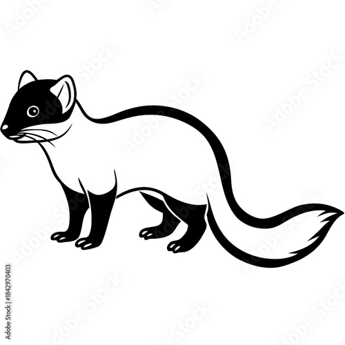 Dwarf Mongoose Silhouette Vector Illustration on White Background