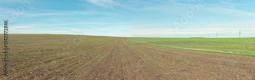 Fotografia A panorama of a plowed field with green grass sprouting in places and the barely