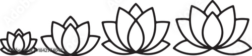 Four lotus flowers of increasing size bloom blossom also transparent background