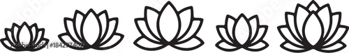Lotus flower of varying sizes bloom blossom also transparent background