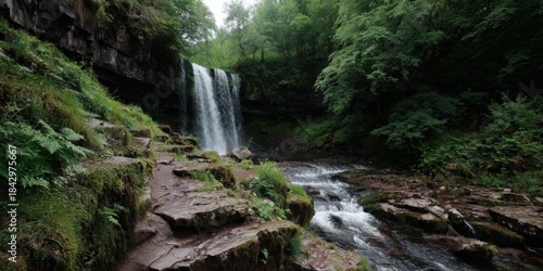 Scenic waterfall in lush forest with rocky path and flowing stream