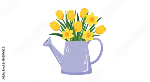 Watering can with yellow tulips and daffodils.