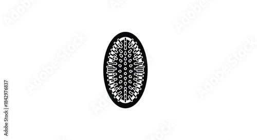 A black hair brush with bristles.