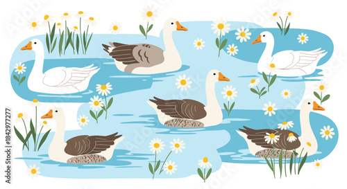 Illustration featuring geese swimming on a calm water surface, adorned with daisies.