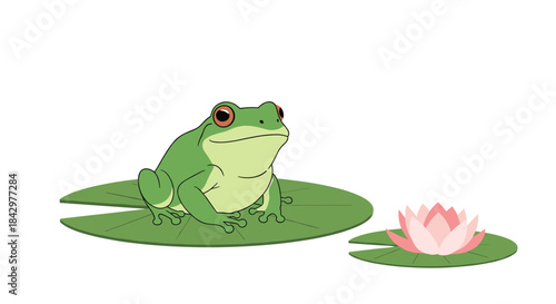 Illustration of a frog peacefully sitting on a lily pad next to a pink flower.