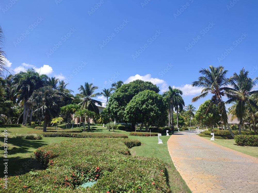 Obraz premium tropical park