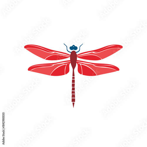 Detailed Graphic Illustration of a Red Dragonfly with Blue Accents on a White Background