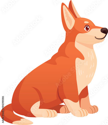 Cute corgi sit. Baby dog cartoon pose