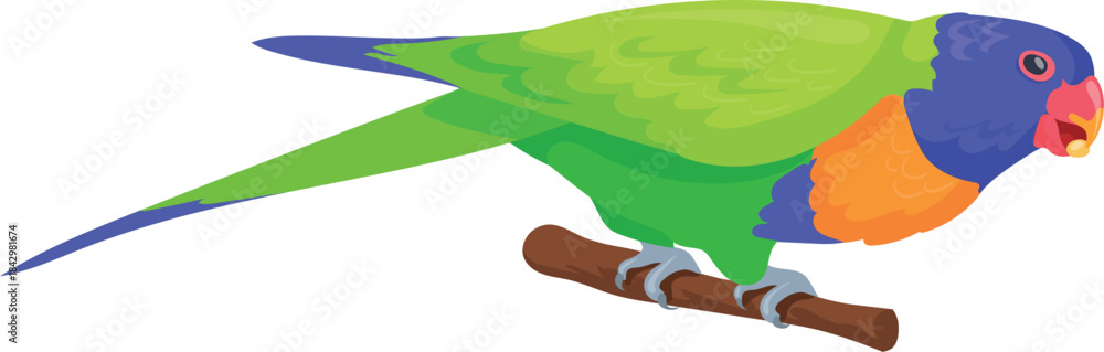 Obraz premium Rainbow lorikeet. Australian wild bird cartoon icon