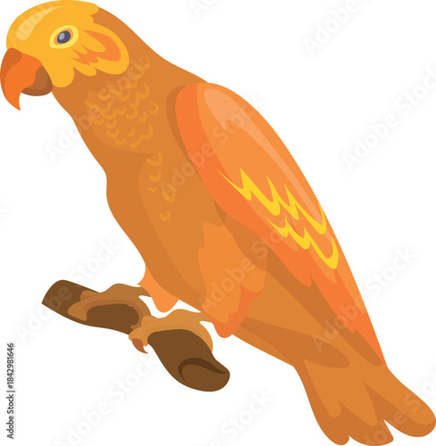 Golden conure. Sun yellow parrot sit on branch