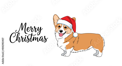 A corgi wearing a santa hat with the words "merry christmas".