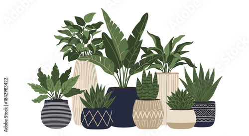 A collection of potted plants with various shapes and sizes.