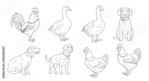 Illustrations of farm animals in black and white.