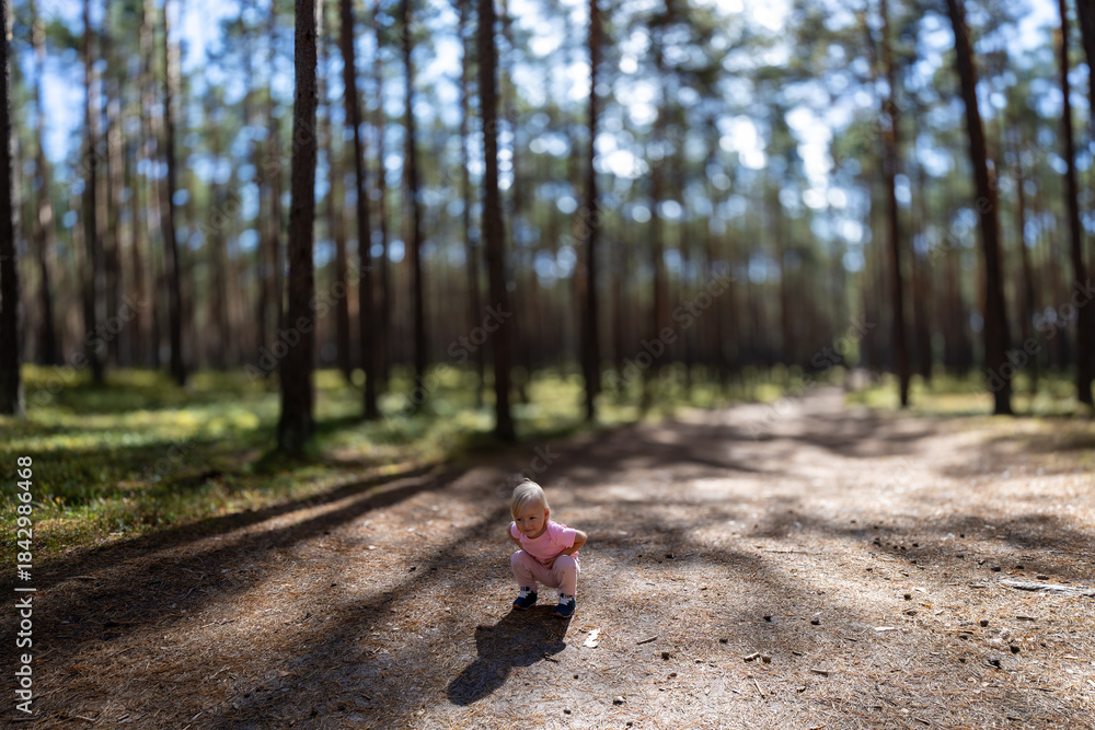 Obraz premium Wiktoria's walk through the Roztocze forest- Poland.