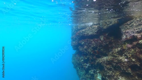 Snorkeling at Oludeniz, Turkey - swimming close to rocky cliff covered with aquatic plants, few small fish visible near