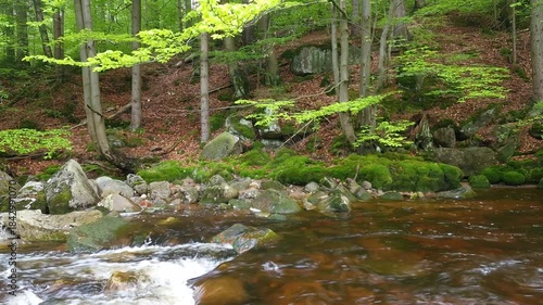 rapid movement of a mountain river over rocks in forest. natural sound