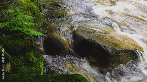 mountain stream flowing over green moss covered stones. natural sound