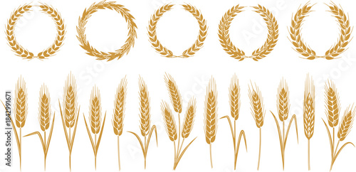 Golden laurel wreaths and wheat stalks, harvest and victory symbols, decorative vector elements, prosperity icons, elegant line illustration