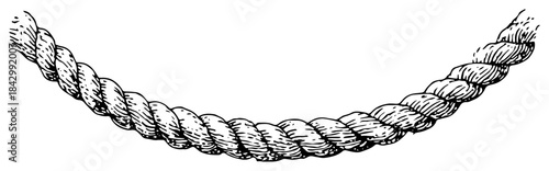 Detailed hand drawn vector illustration of a twisted rope hanging in a curve