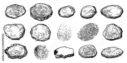 Set of textured wood slices and fingerprints drawn as black and white vector sketches