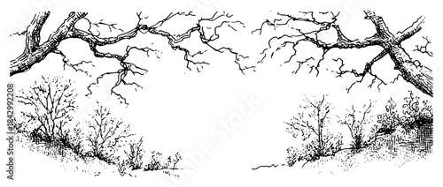 Hand drawn vector sketch of a nature frame with bare tree branches and bushes