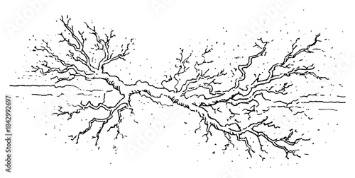 Hand drawn sketch of a dry leafless tree branch stretching horizontally