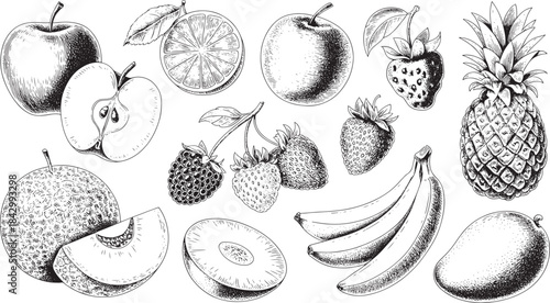 "Hand-drawn Fruit Illustrations – Apple, Pineapple, Watermelon, Strawberry, and Banana Vector Icons"