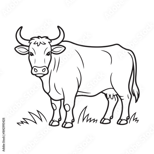 A black and white cartoon line art illustration of a standing cow