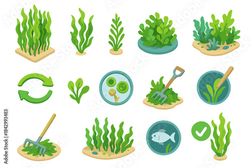 Agriculture flat icon set. featuring seaweed, aquaculture, planting, fish, growth, and cultivation symbols