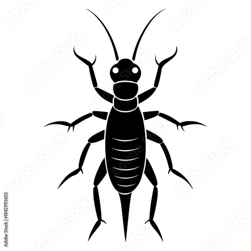 Earwig Black Silhouette Vector – Clean White Background Design