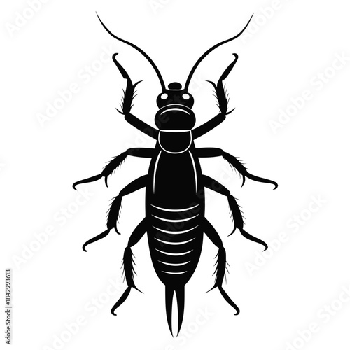 Earwig Black Silhouette Vector – Clean White Background Design