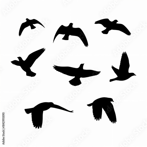 Black and White Flying Bird Silhouette Vector Icons Set
