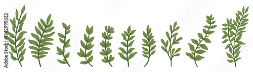 Set of vector images of leaves and branches. Lovely design elements to make your own patterns, laurels and compositions. Great for wedding or invitations. 
Elements for design.