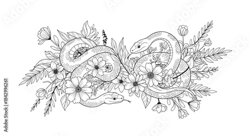 Intricate line art illustration depicting two coiled snakes gracefully intertwined amidst a lush arrangement of diverse flowers and botanical elements.