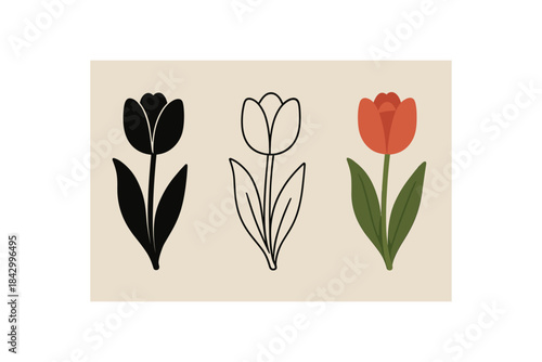 Flat vector illustration tulip flowers different poses soft rounded petals clean outline one black and white flat version one outline version one color version cozy textile style