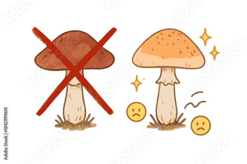 Mushroom with a red X on it and a mushroom with a yellow smiley face
