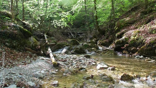 Waldbach mit klarem Wasser